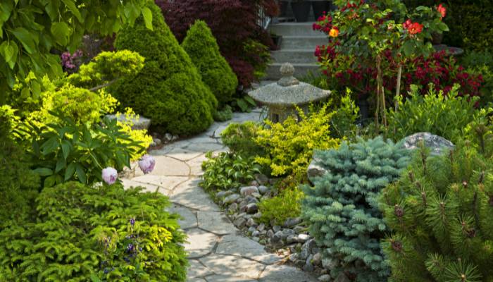 landscaping (2)